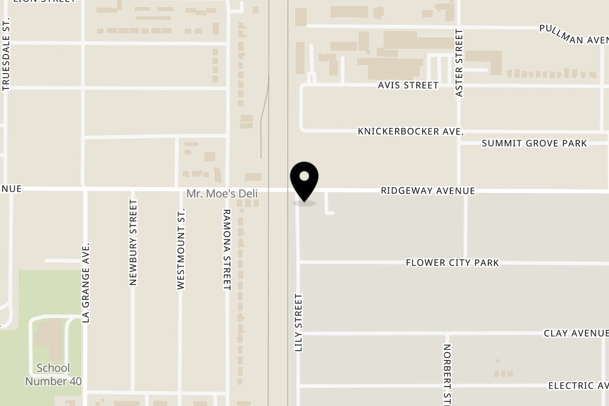 Map showing the location of Three Little Birds Jamaican Food on 689 Ridgeway Ave in Rochester
